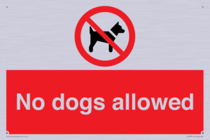 No dogs allowed